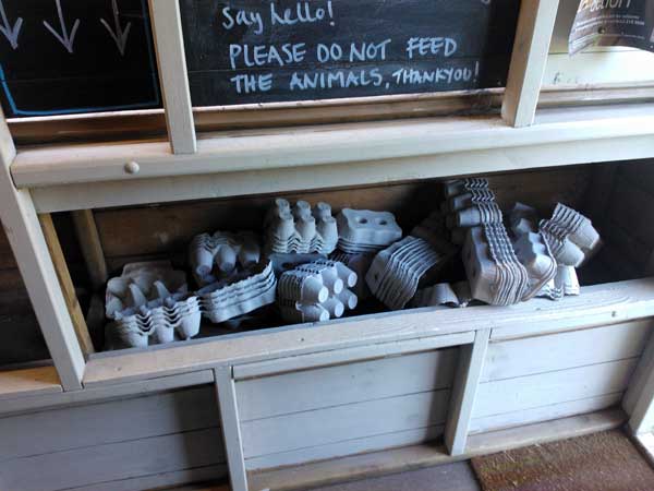 eggboxes