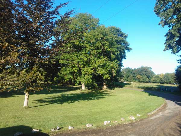 shed-driveway
