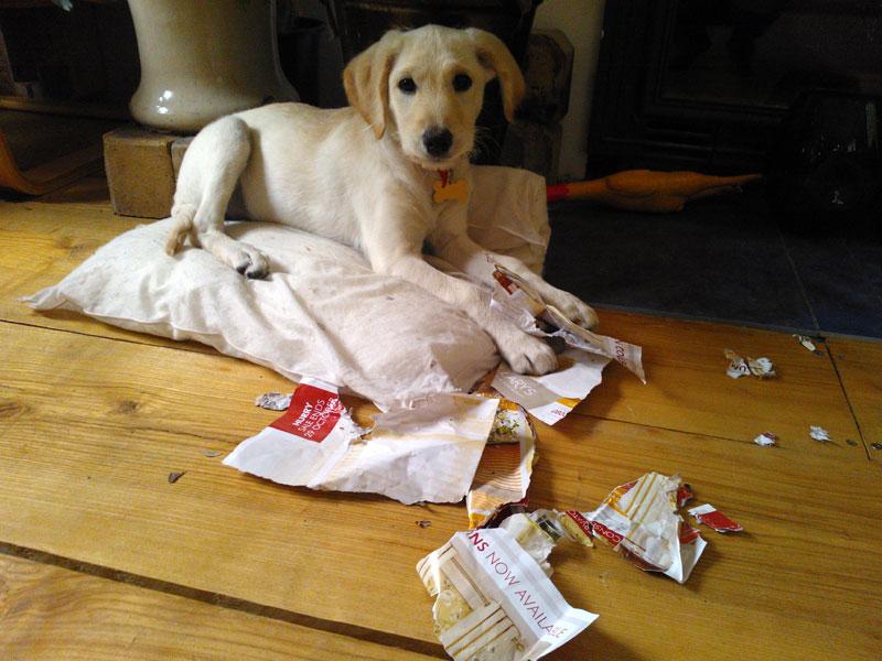 junkmail