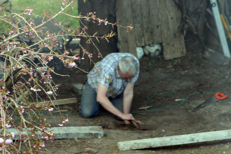 shed-idea-5---landprep